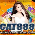 หวยcat888