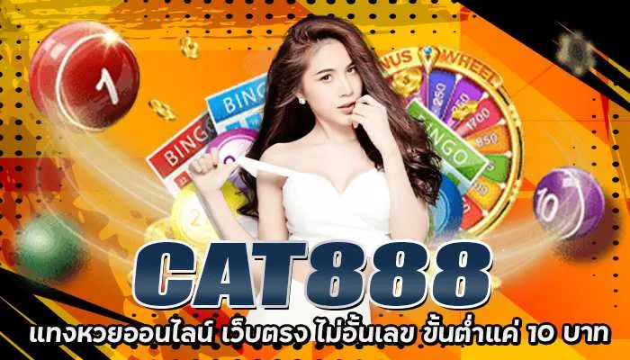 หวยcat888