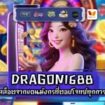 dragon1688