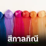 สีกาลกิณี 2567